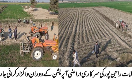 راجن پور میں سرکاری اراضی پر قبضہ مافیا کے خلاف کارروائی، 25 ایکڑ زمین بازیاب