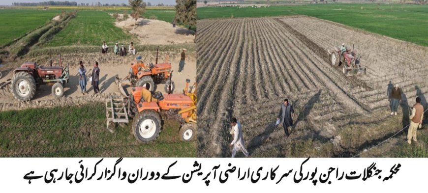 راجن پور میں سرکاری اراضی پر قبضہ مافیا کے خلاف کارروائی، 25 ایکڑ زمین بازیاب