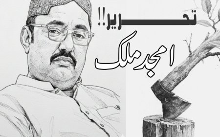 روحانی و سماجی احساسات کی عکاس: روجھان شہر کی صورت حال کا جامع جائزہ