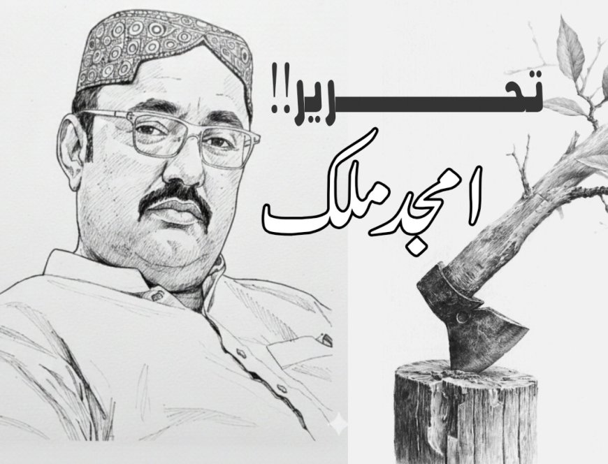 روحانی و سماجی احساسات کی عکاس: روجھان شہر کی صورت حال کا جامع جائزہ